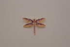Purple enamel dragonfly brooch