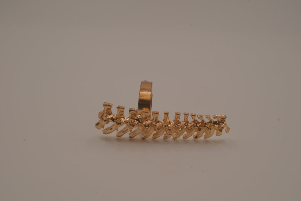 Statement vertebrae/ spine ring