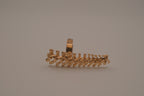 Statement vertebrae/ spine ring