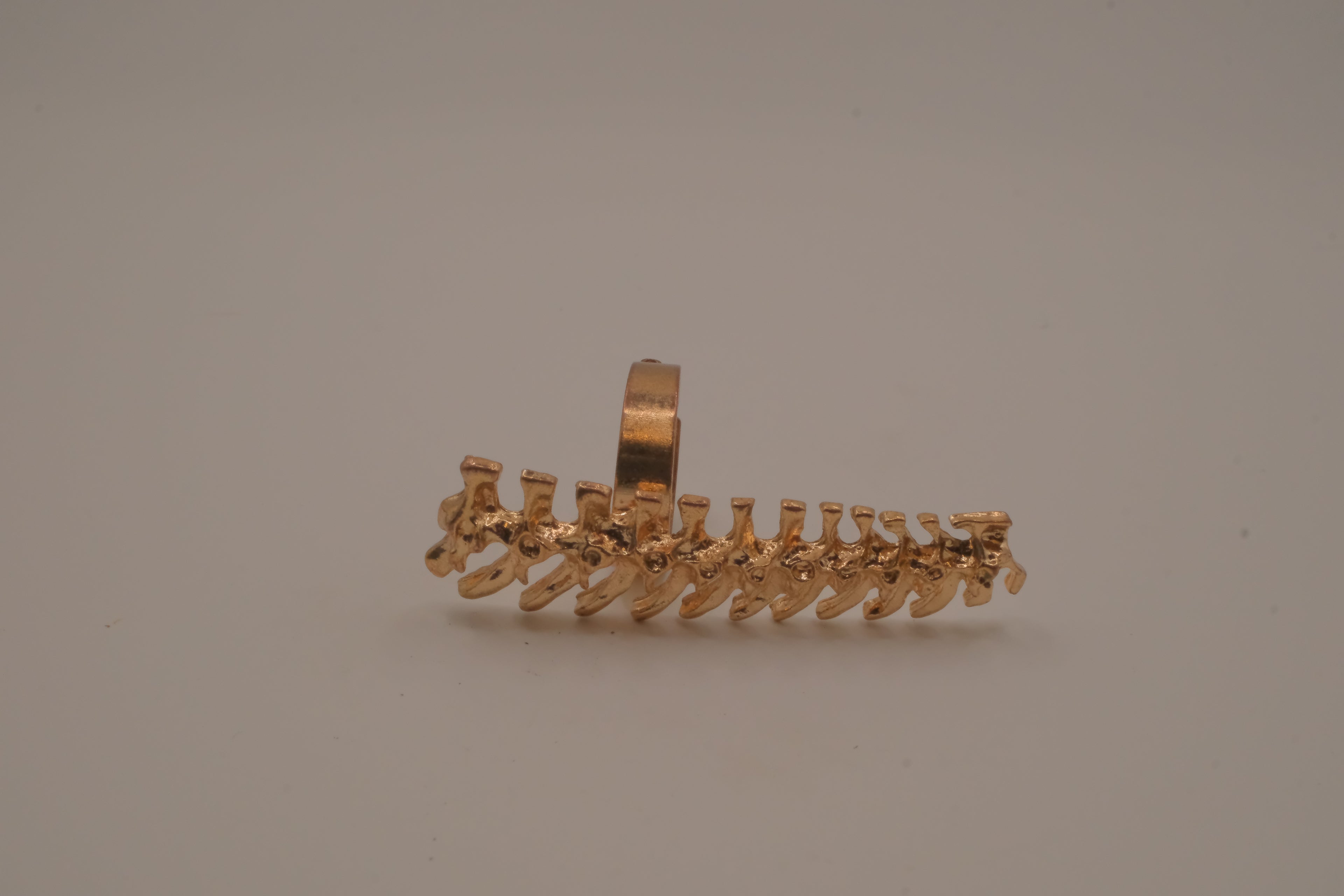Statement vertebrae/ spine ring