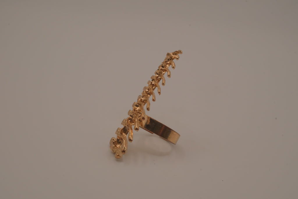 Statement vertebrae/ spine ring