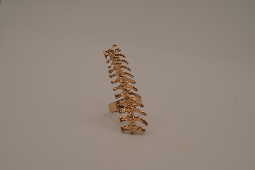 Statement vertebrae/ spine ring