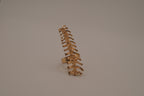 Statement vertebrae/ spine ring