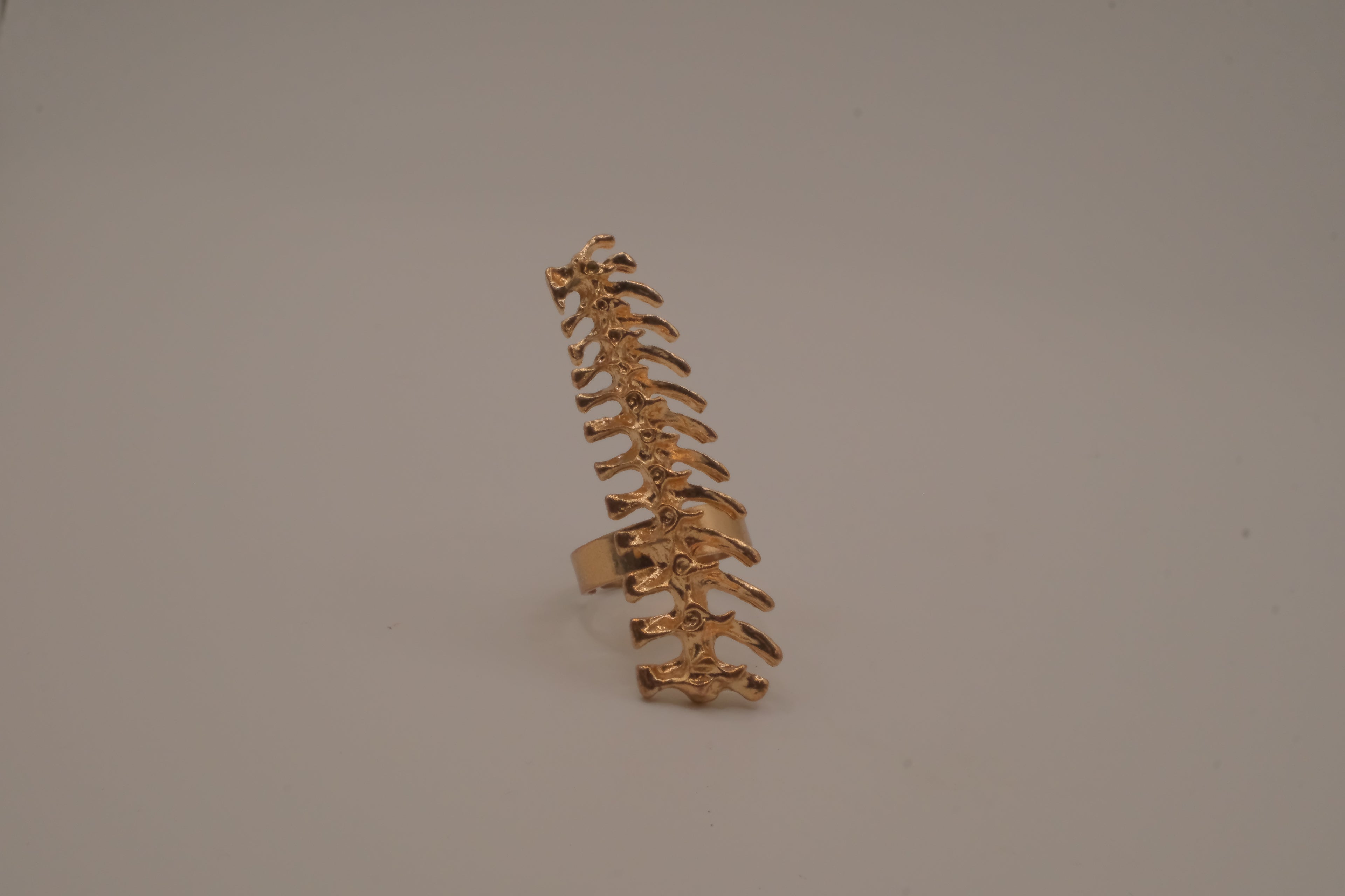 Statement vertebrae/ spine ring