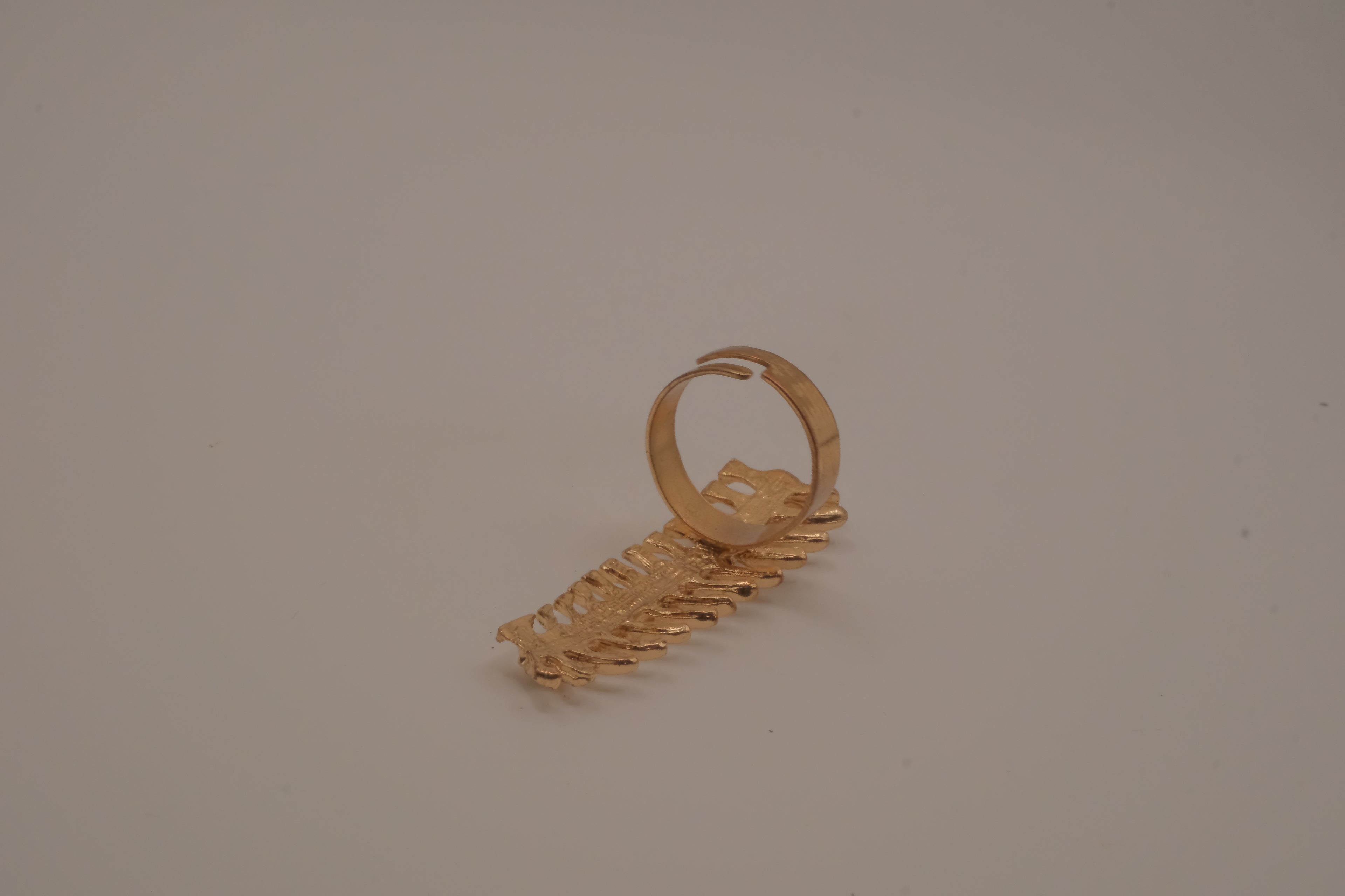 Statement vertebrae/ spine ring