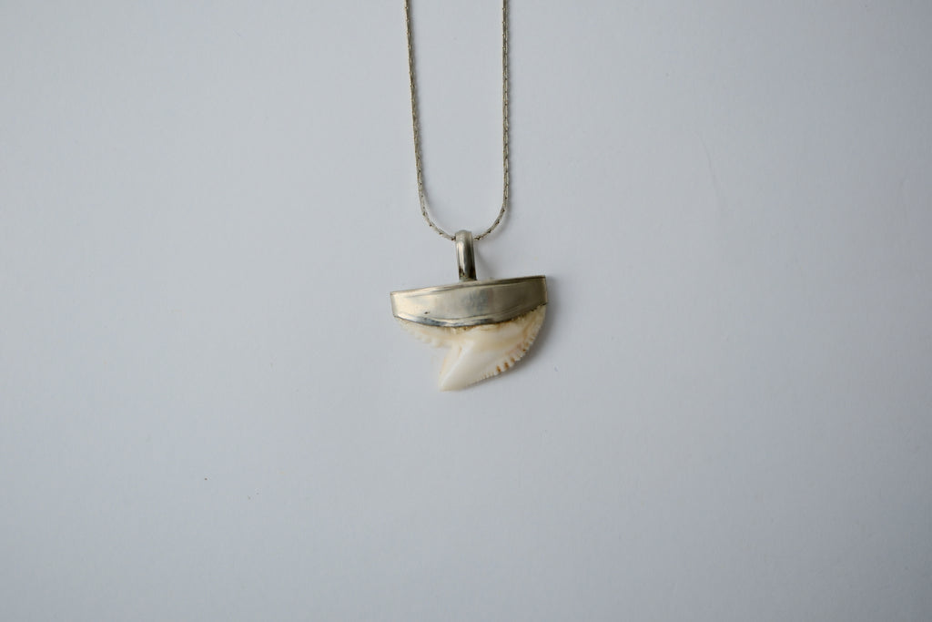 Vintage Shark Tooth Sterling Silver Necklace