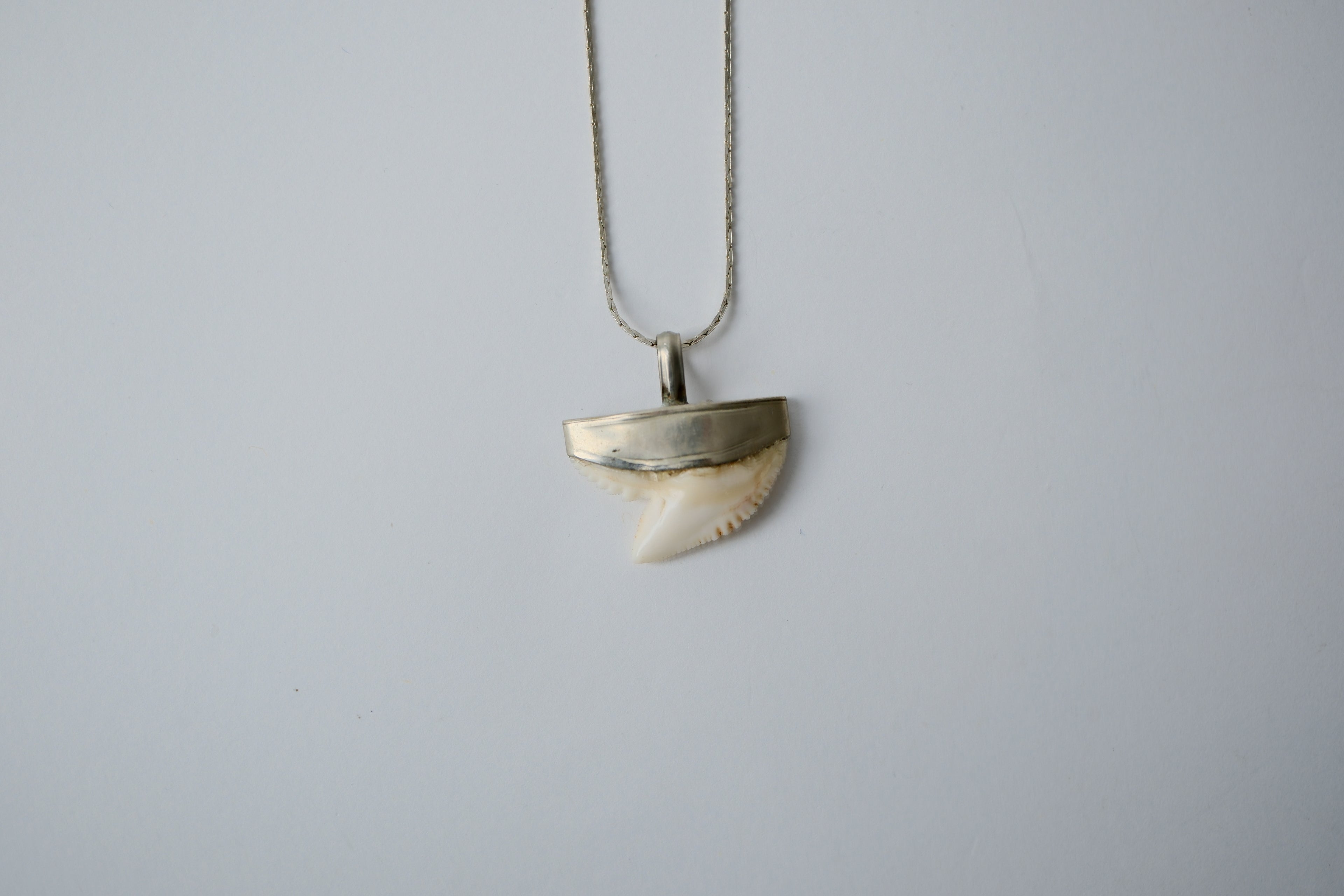 Vintage Shark Tooth Sterling Silver Necklace