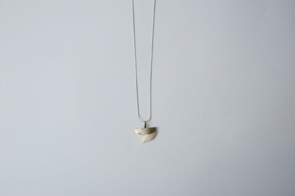 Vintage Shark Tooth Sterling Silver Necklace