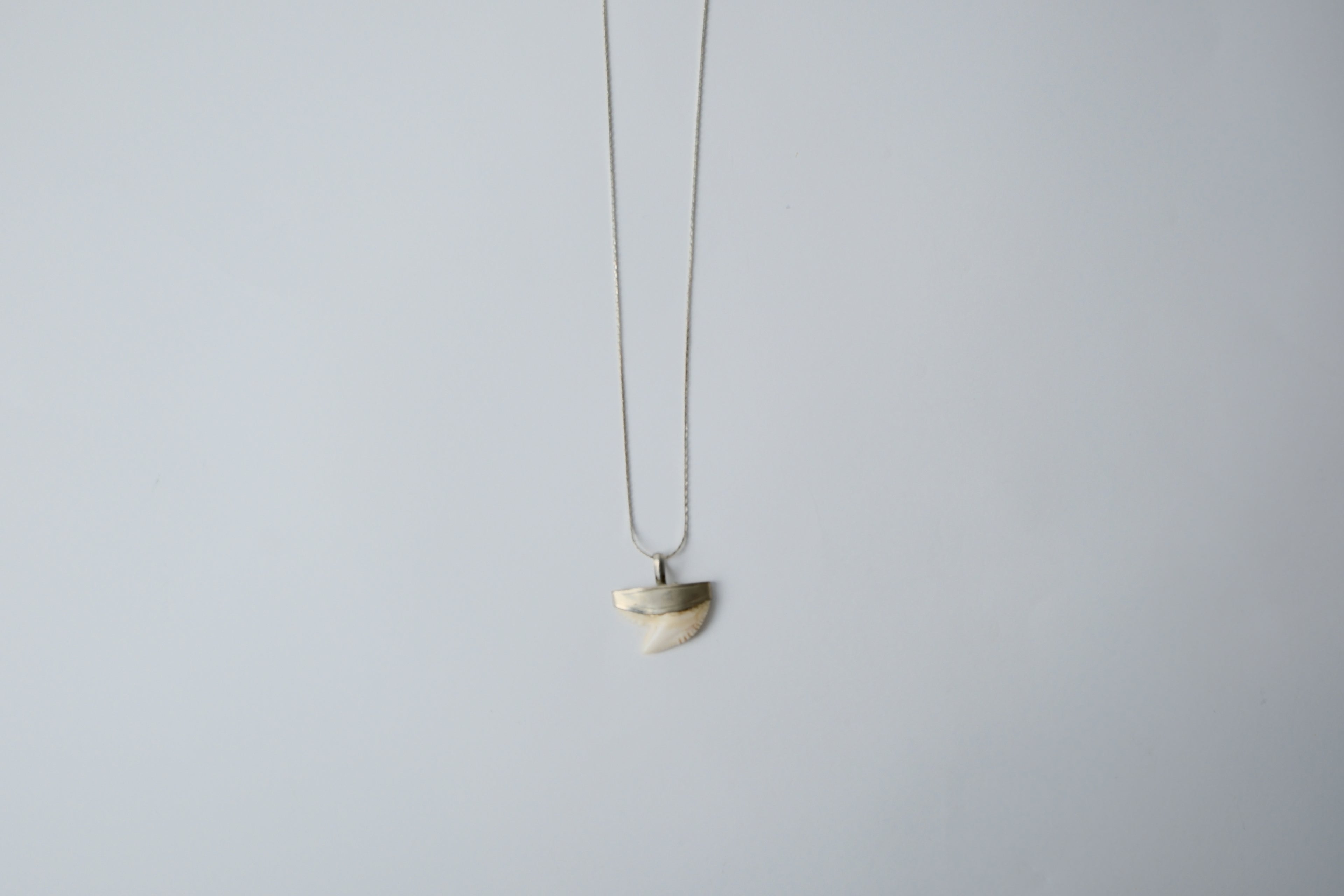 Vintage Shark Tooth Sterling Silver Necklace