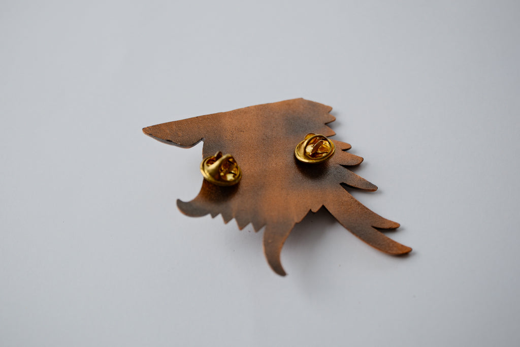 Bronze owl eye pin