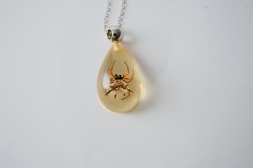 Real Spiny Spider in Resin Necklace
