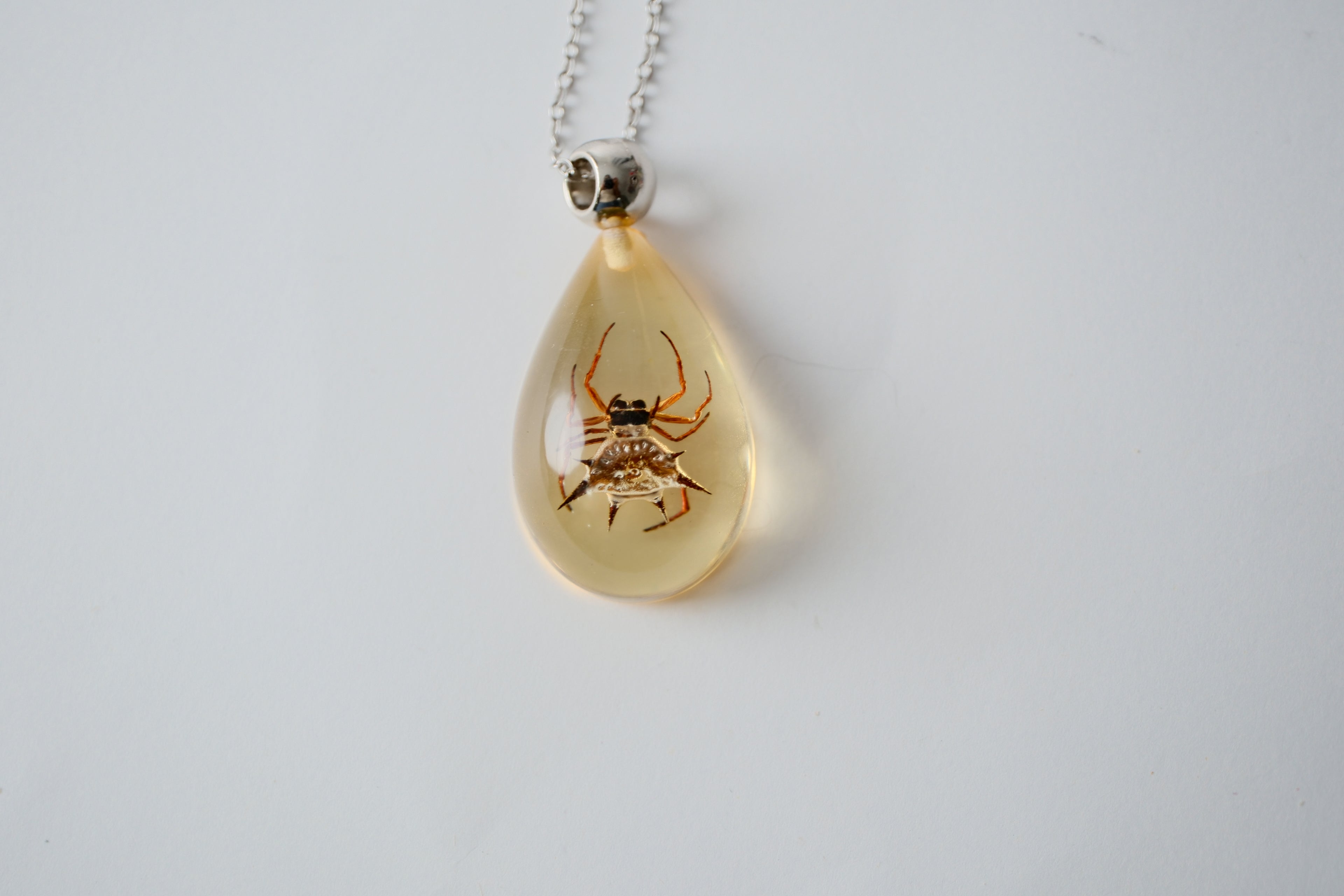Real Spiny Spider in Resin Necklace