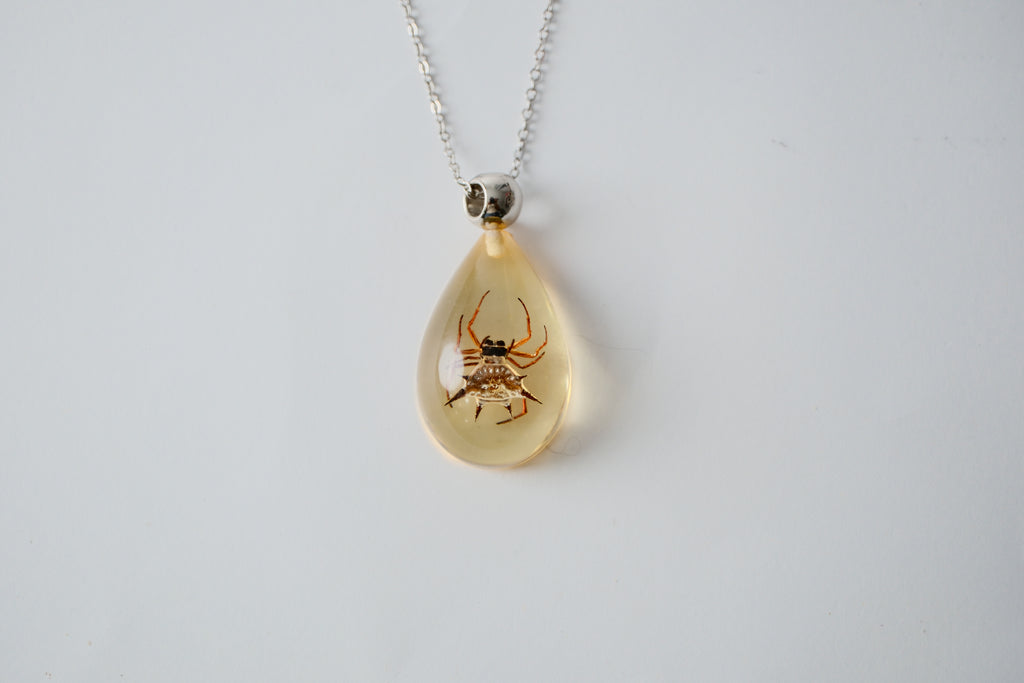 Real Spiny Spider in Resin Necklace
