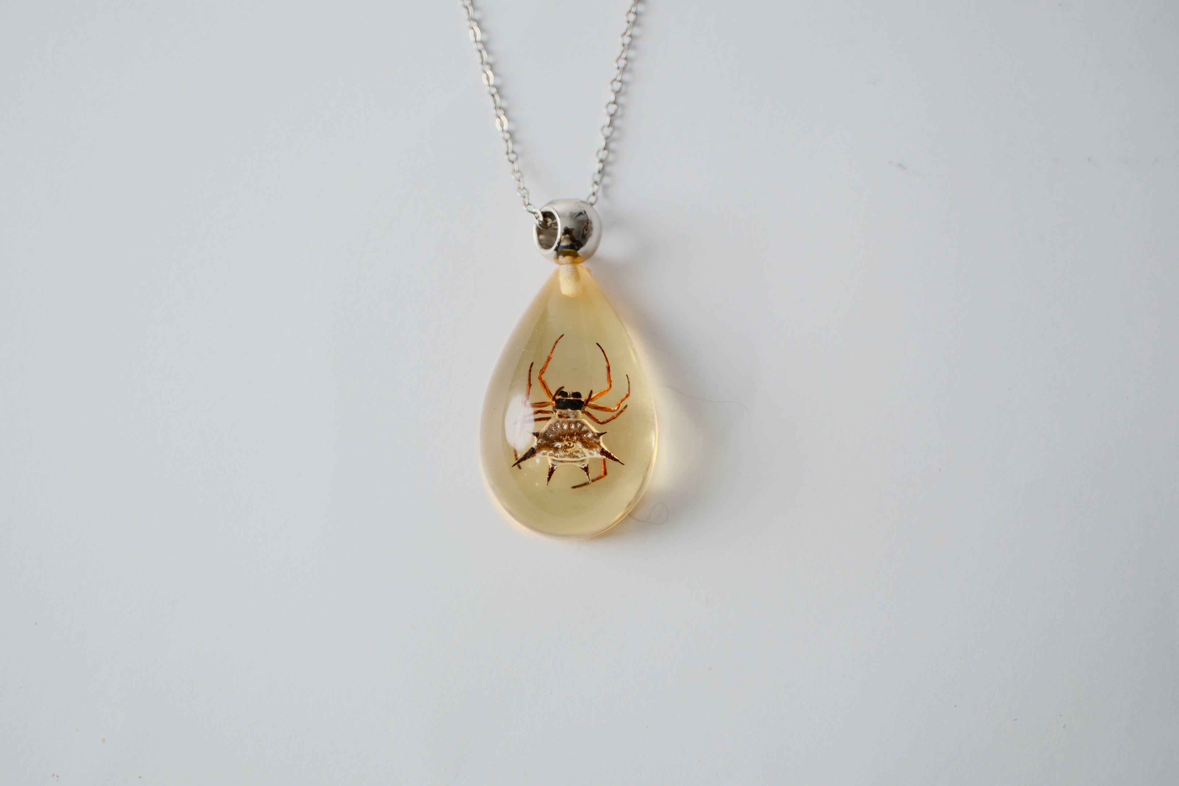 Real Spiny Spider in Resin Necklace