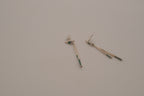 Vintage Southwestern Native American style sterling silver dangle earrings