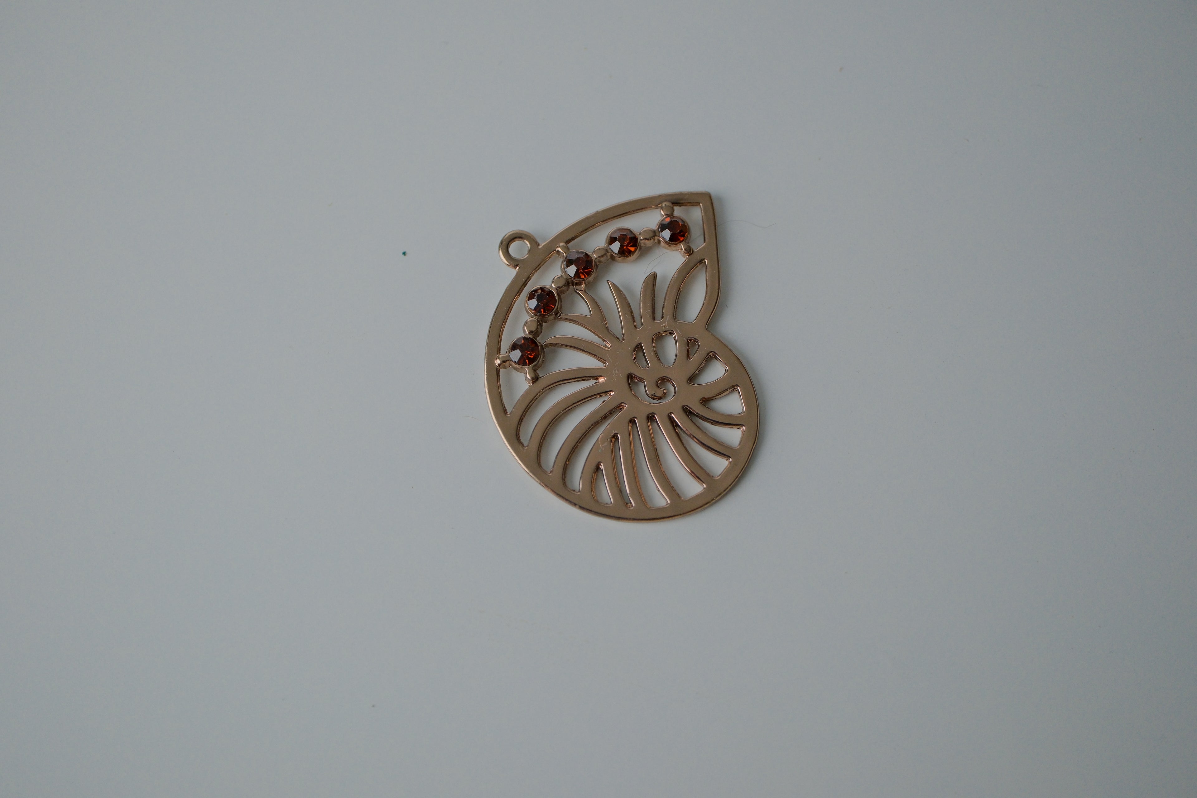Nautilus shell pendant