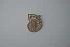 Nautilus shell pendant