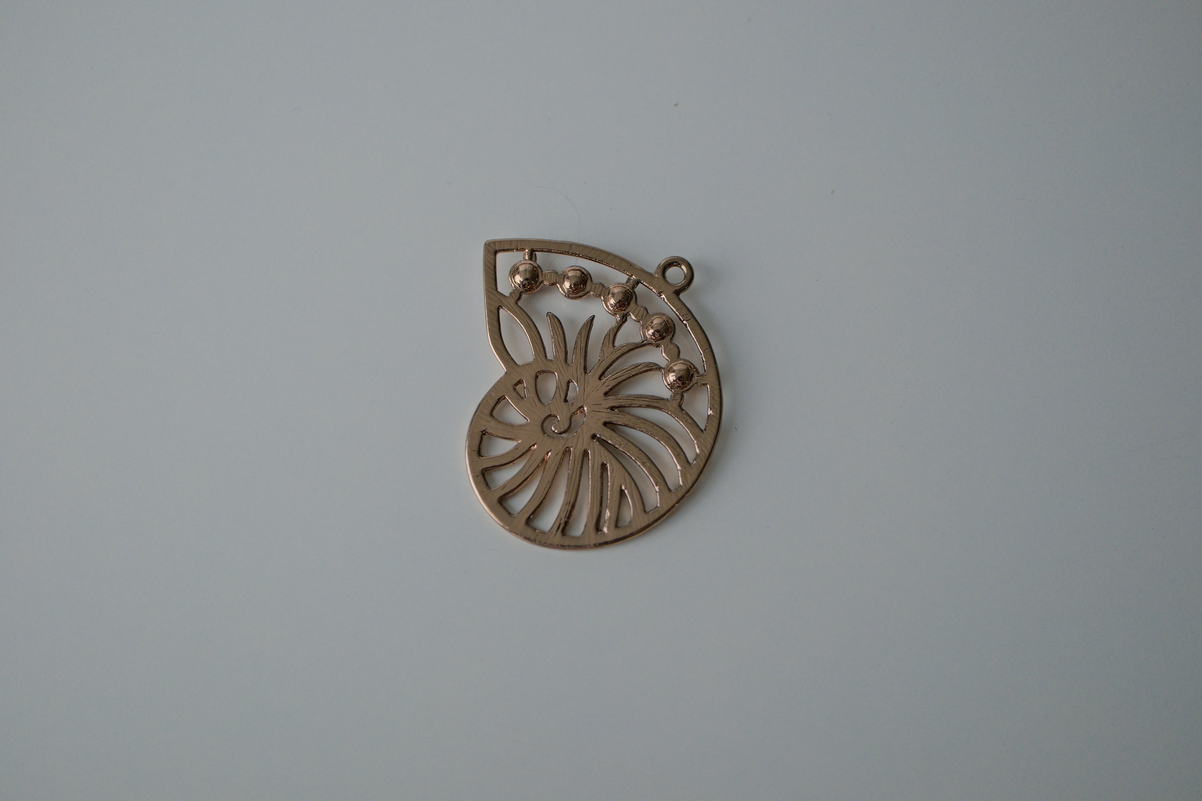 Nautilus shell pendant