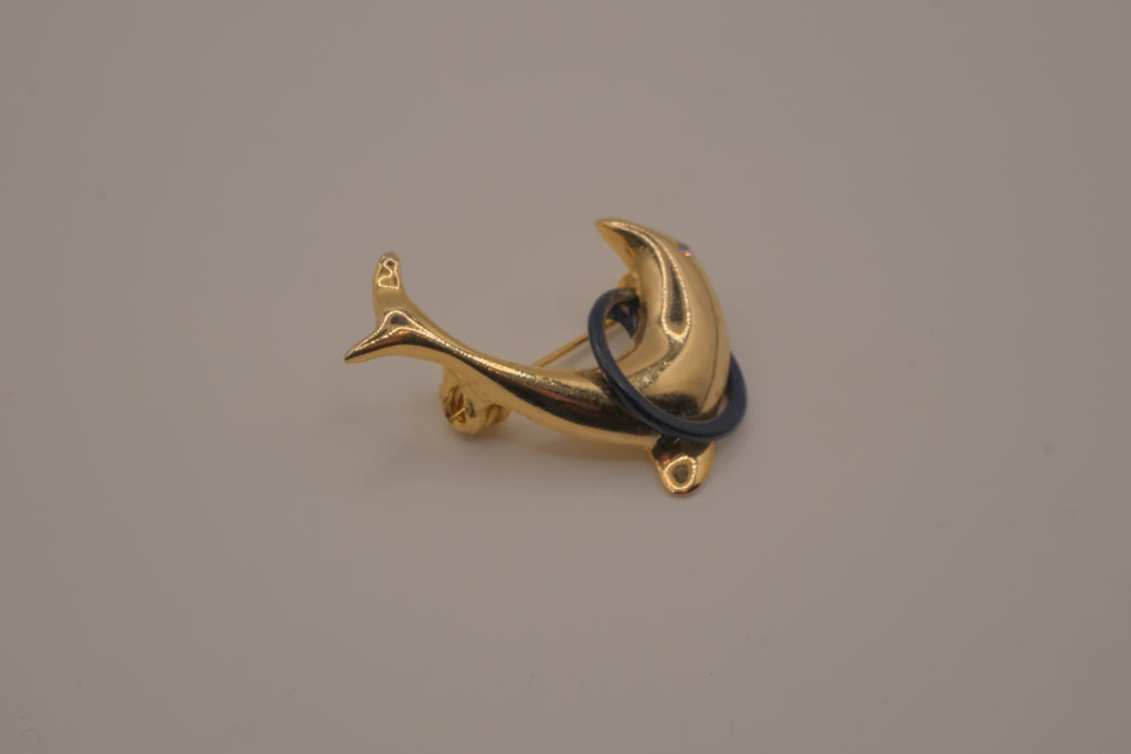 Vintage dolphin in hoop brooch pin