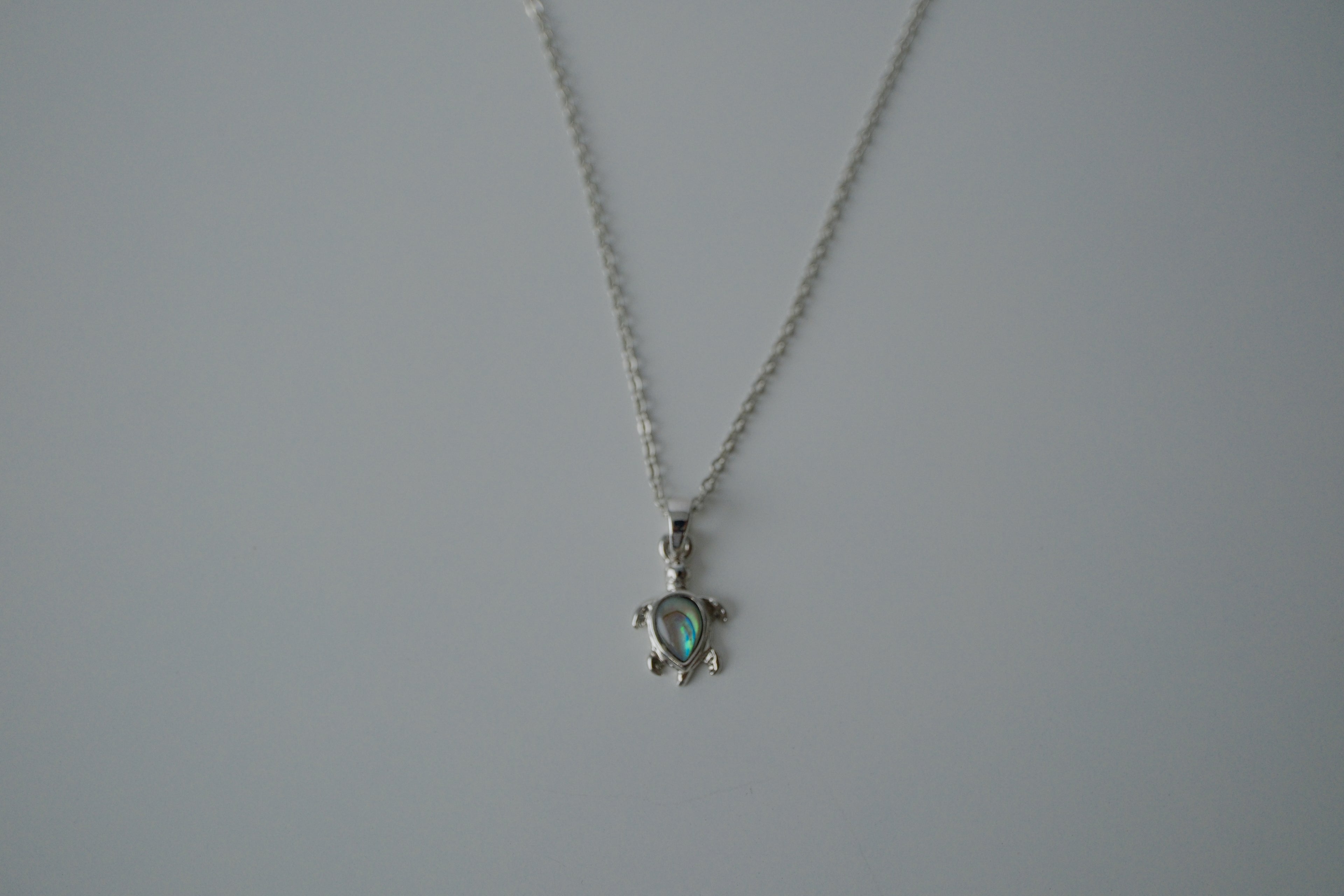 Sterling Silver Abalone Turtle Necklace