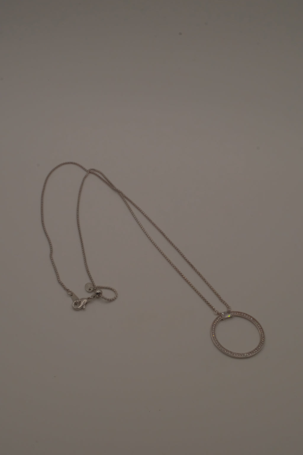 ANI Eternity circle pendant necklace&nbsp;
