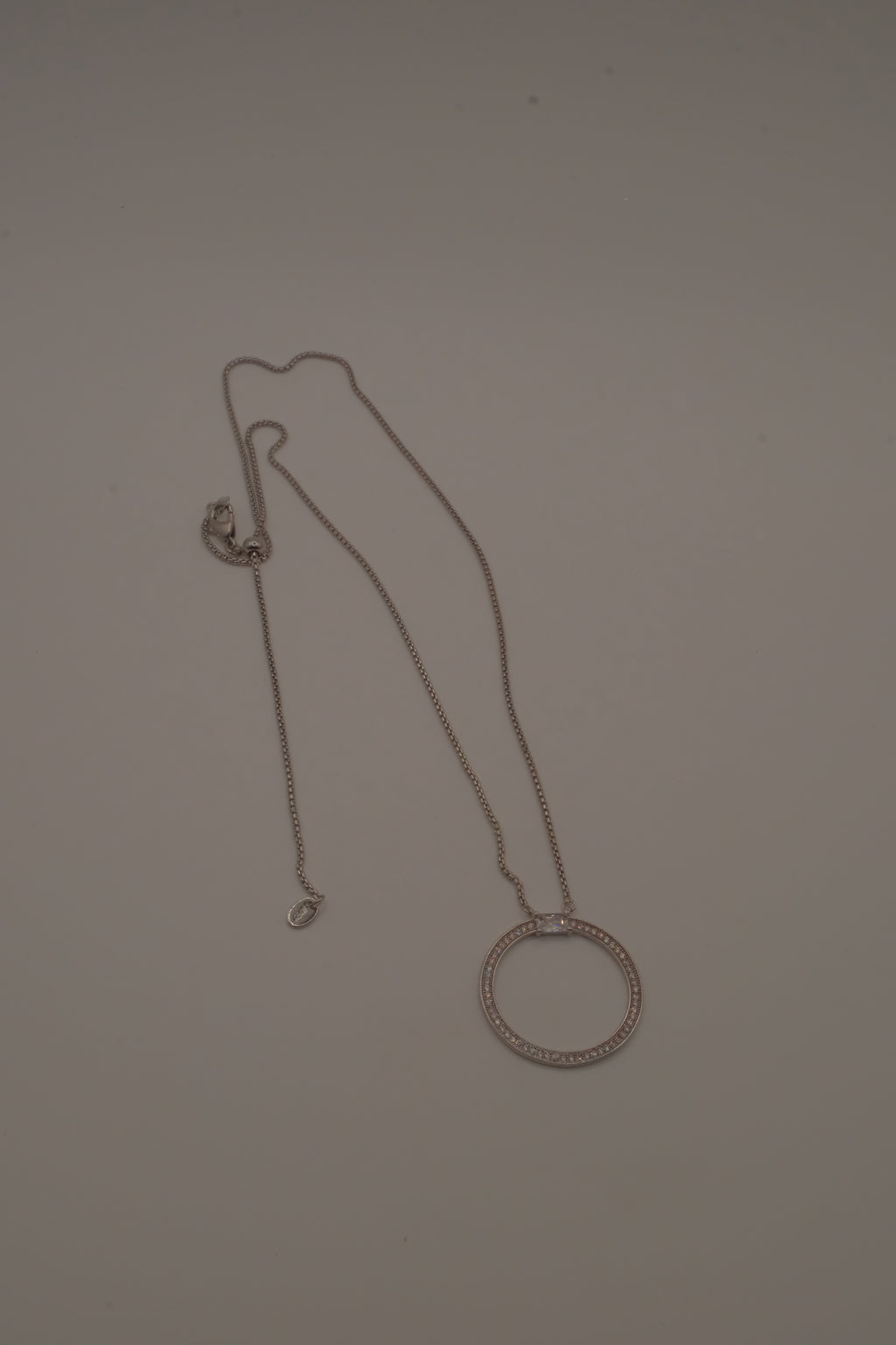 ANI Eternity circle pendant necklace&nbsp;