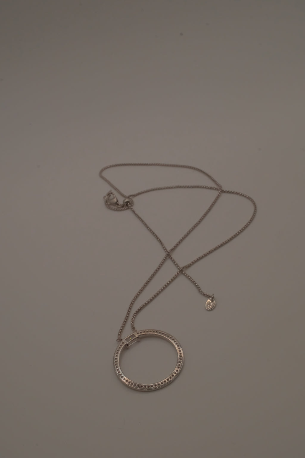 ANI Eternity circle pendant necklace&nbsp;