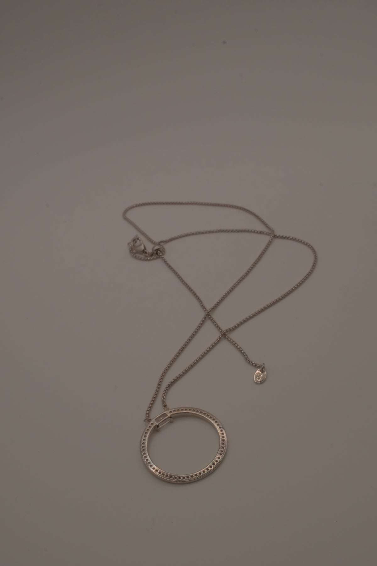 ANI Eternity circle pendant necklace&nbsp;