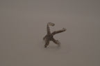 Silver adjustable starfish statement ring