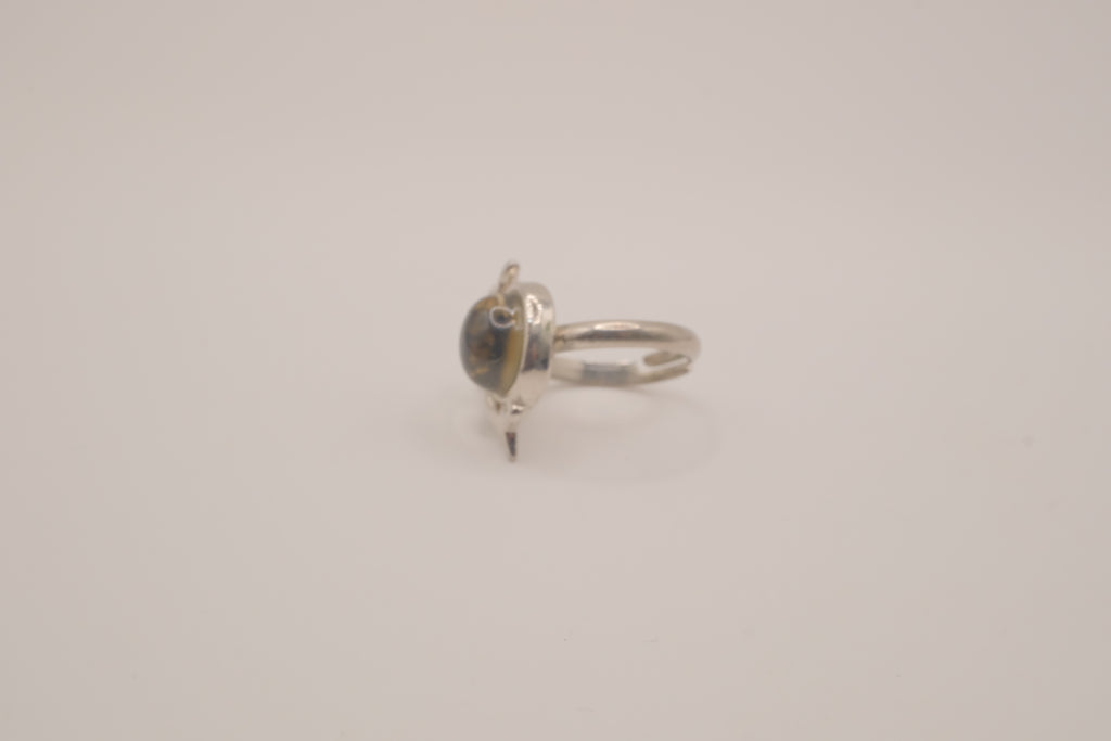 Silver tone dolphin mood ring