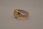 Vintage 17 jewels Swiss watch