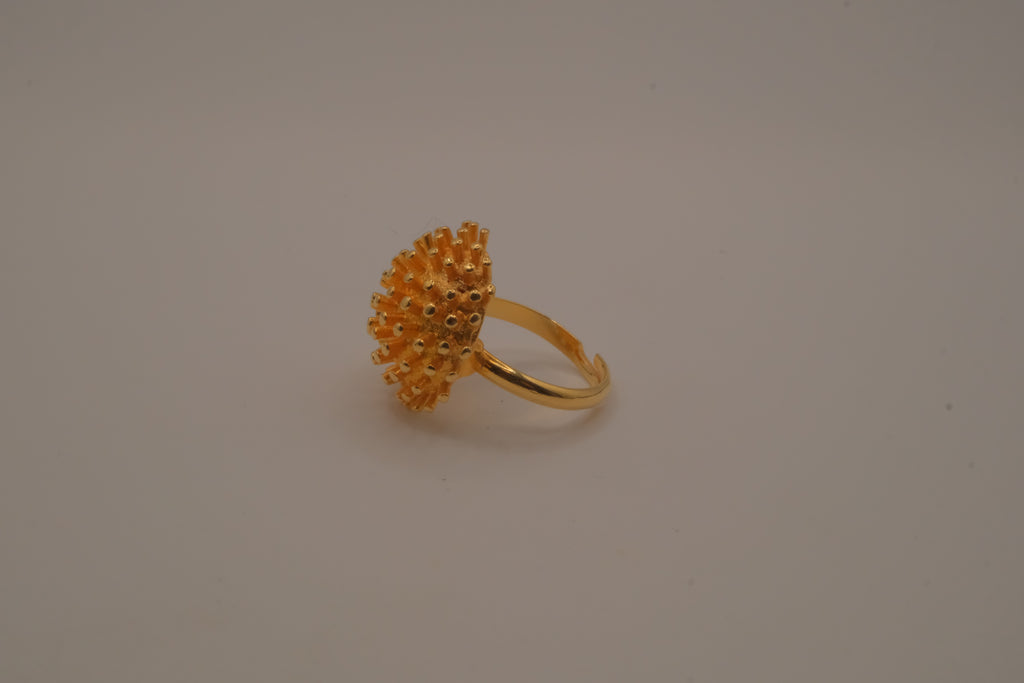 Dome shaped celestial starburst ring