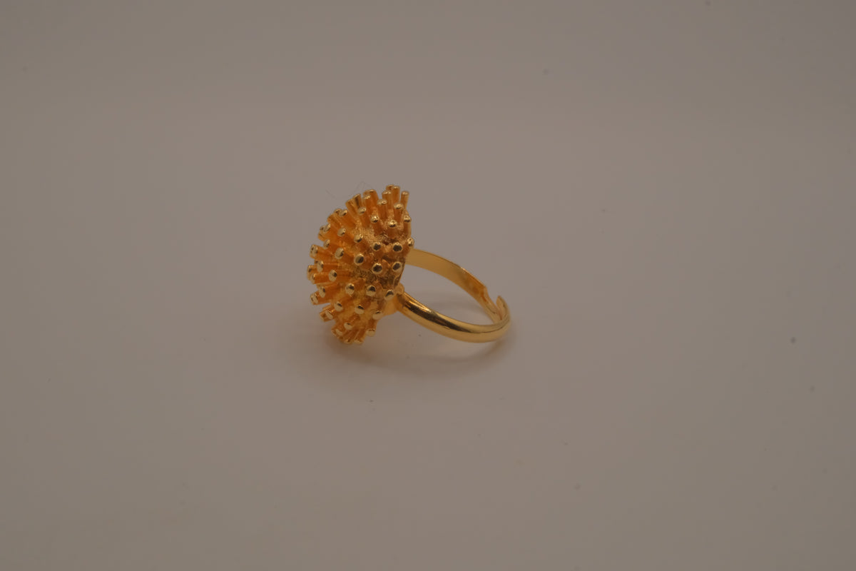 Dome shaped celestial starburst ring