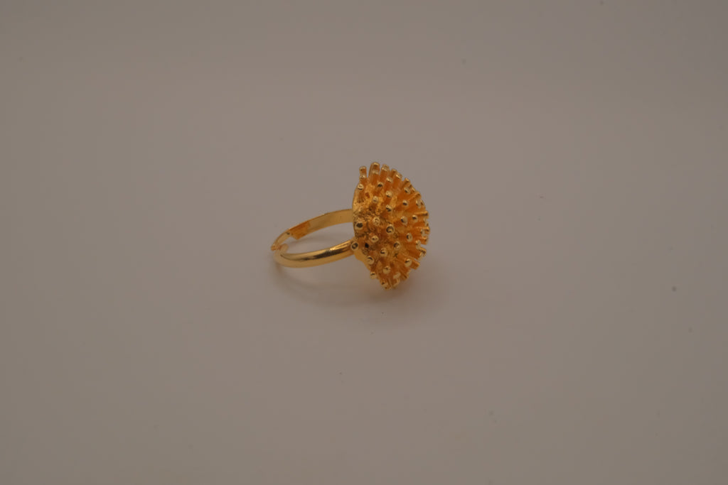 Dome shaped celestial starburst ring