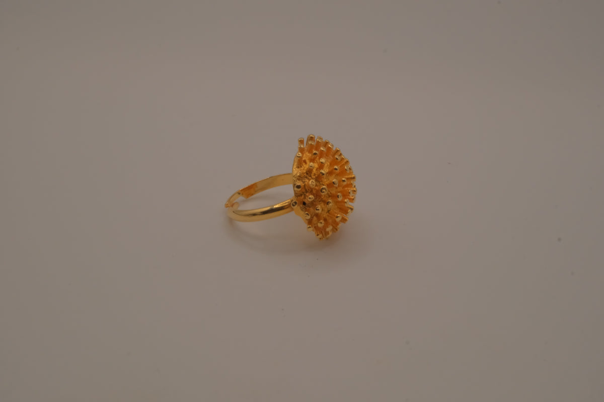 Dome shaped celestial starburst ring