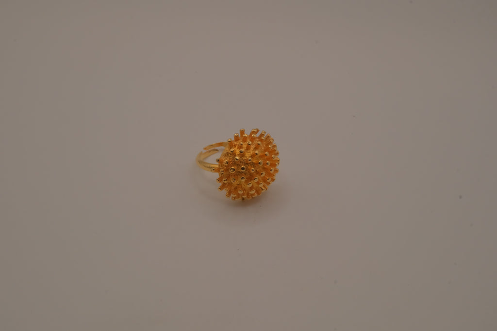 Dome shaped celestial starburst ring