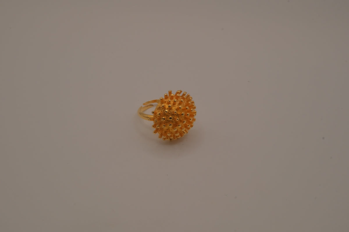 Dome shaped celestial starburst ring