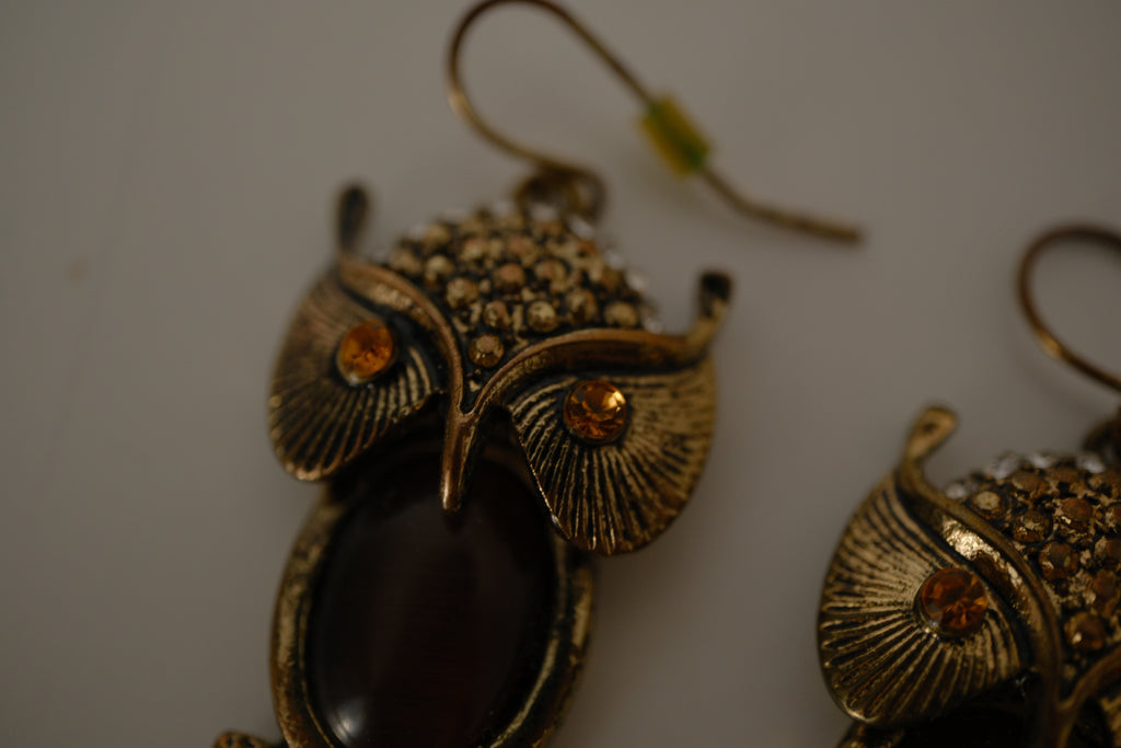 Vintage Brass Owl dangle earrings