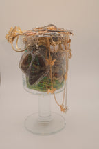 Garden Fairy Mystery Jar