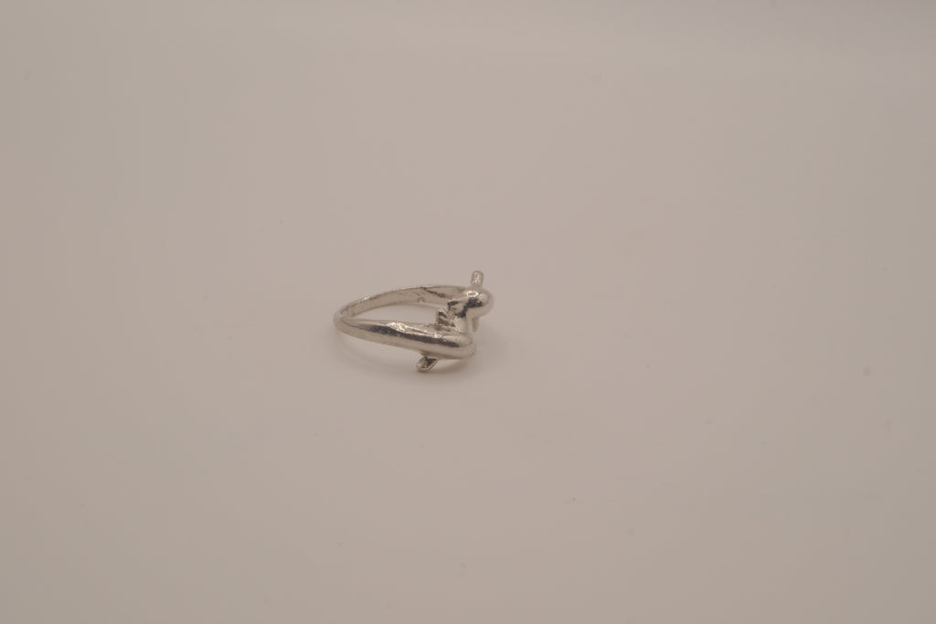 Double dolphin bypass ring