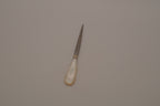 Antique Victorian-era Mother of Pearl hair stick