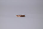 18K Gold Plated Ring with Rose tint and Rhinestones